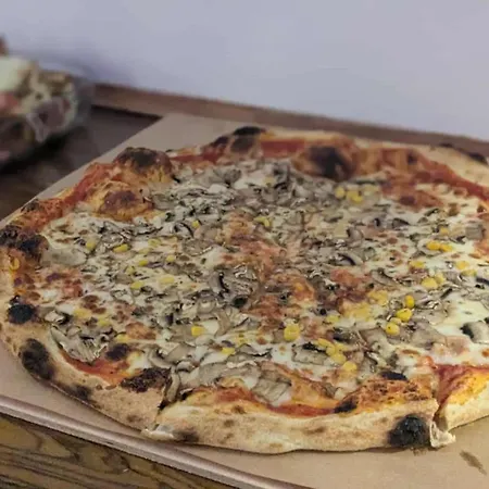 Hostal Greg&tom Beer House *